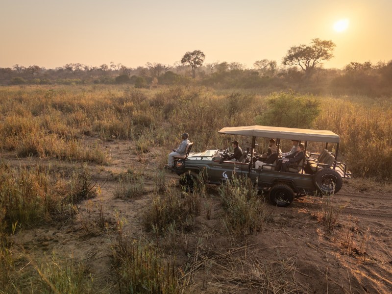 Tintswalo Scops Rest