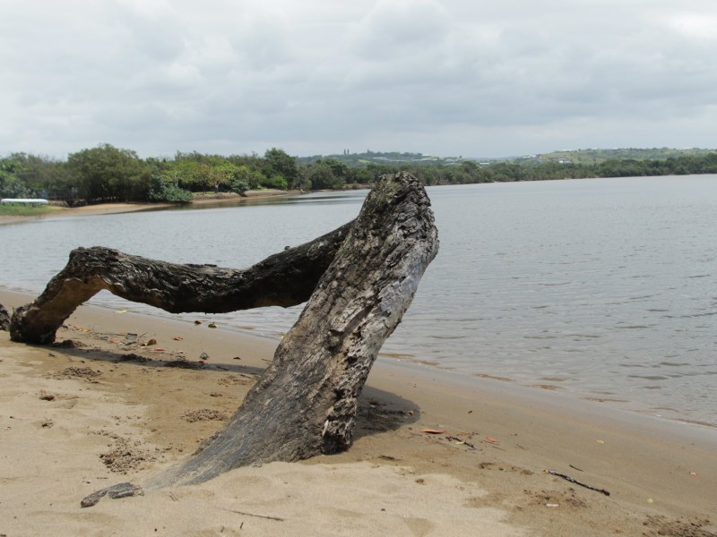 Umlalazi