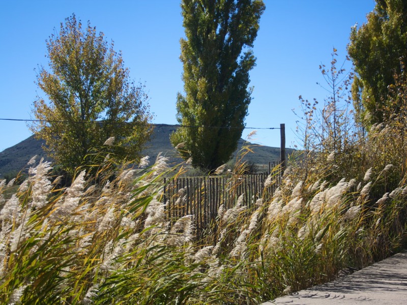 Asemskep self-catering accommodation