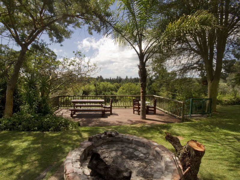Bush Camp 1, Kingfisher - Foto 3