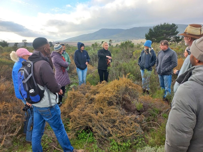 Cape Leopard Trust