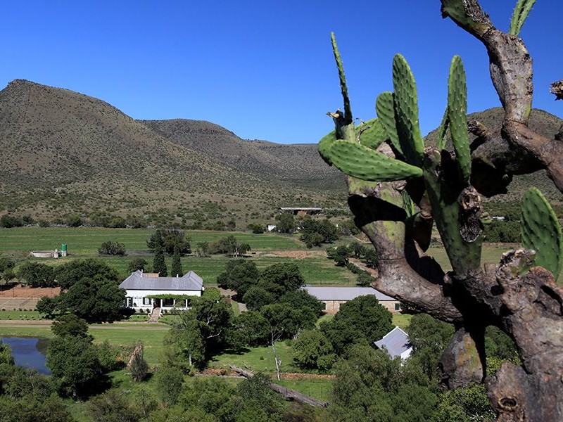 Langfontein Guest Farm