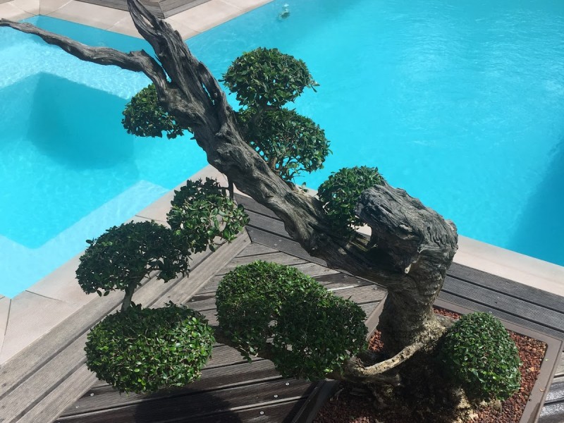 A Riverbed Guesthouse - Google Places photo