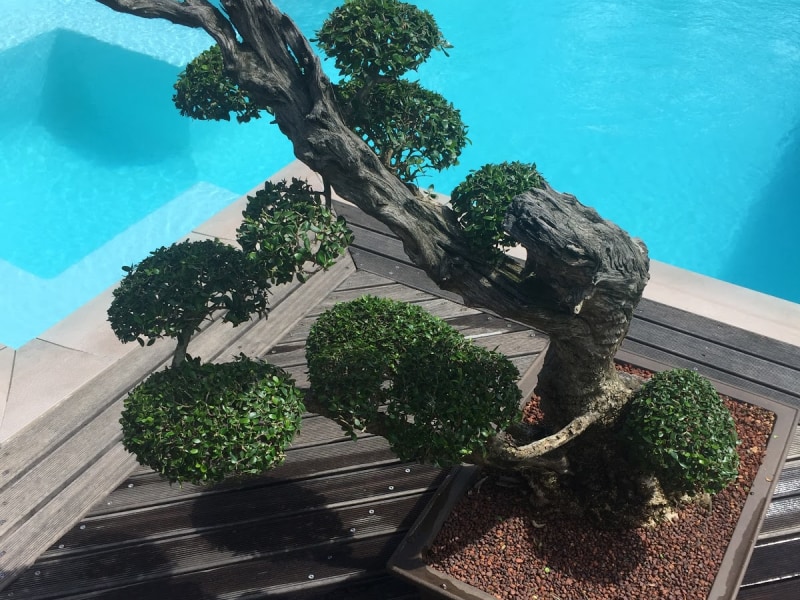 A Riverbed Guesthouse - Google Places photo