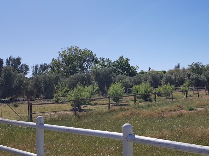 Acacia Cottage - Google Places photo