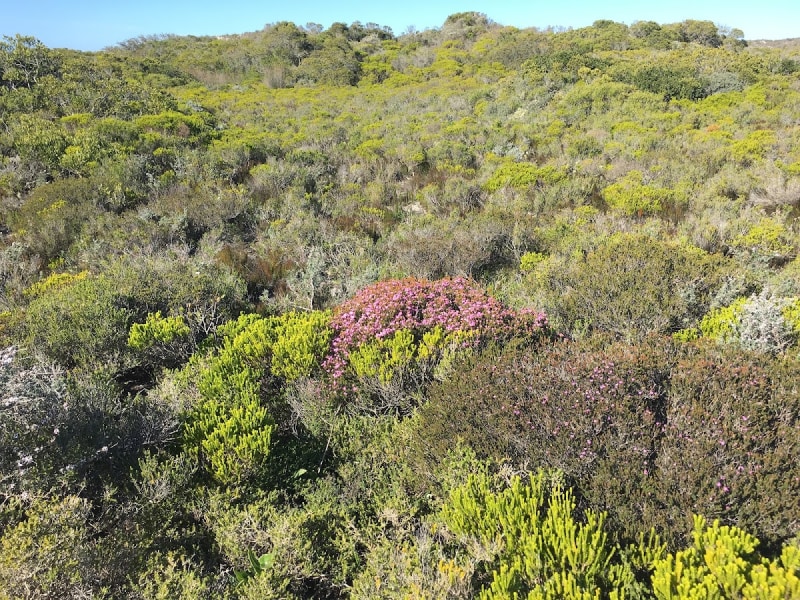 Damara Trail (De Mond)