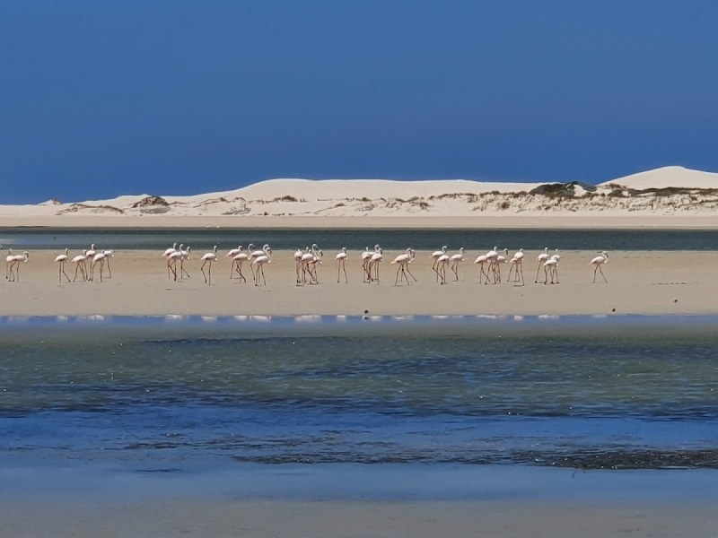 Damara Trail (De Mond)