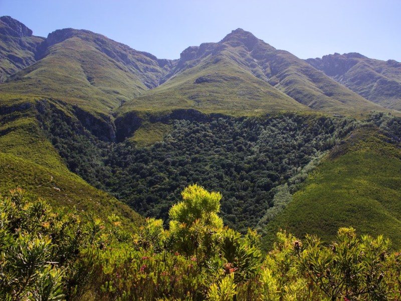 Marloth Nature Reserve