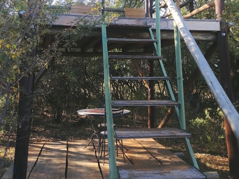Dream Lodge - Google Places photo