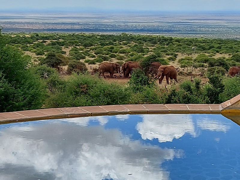 Elerai Camp - Google Places photo