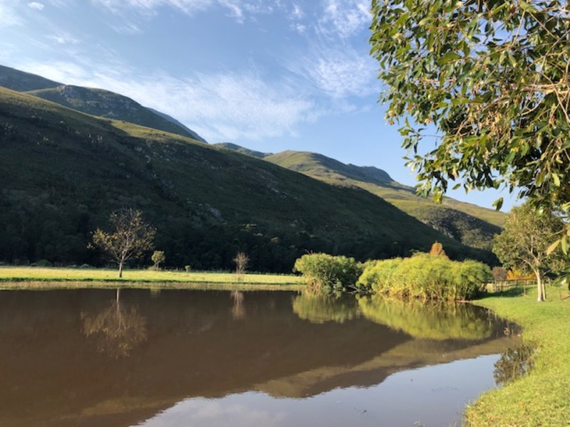 Frog Mountain Getaway - Google Places photo