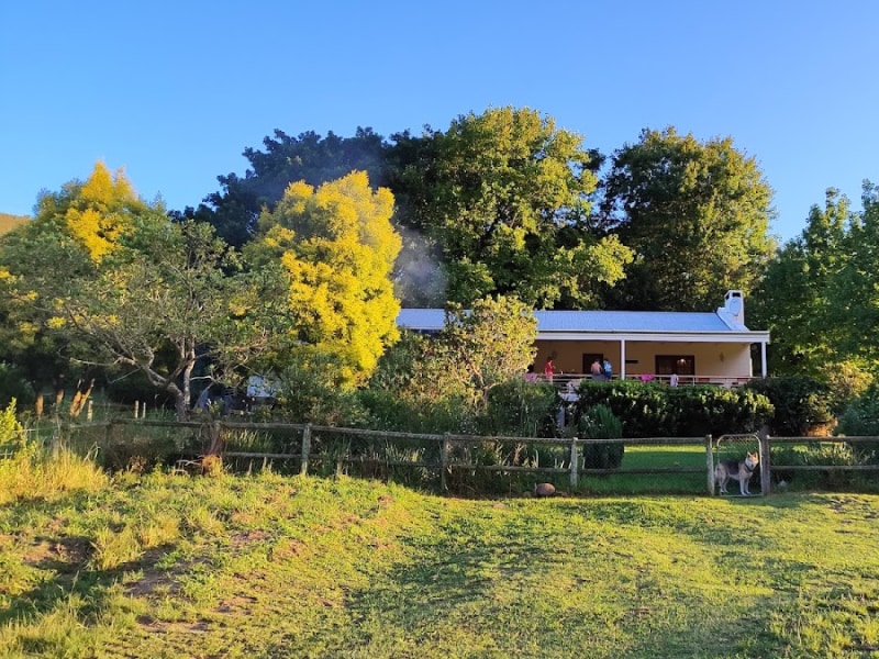 Frog Mountain Getaway - Google Places photo