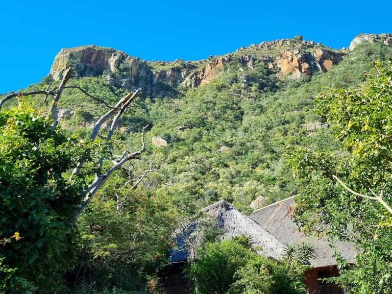 Ithala (Ntshondwe)