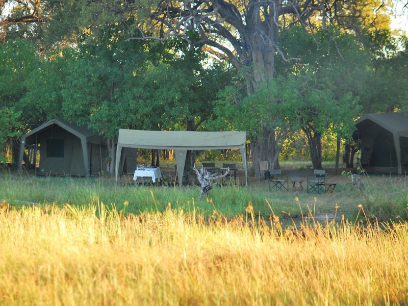 Khwai Tented Camp - Google Places photo