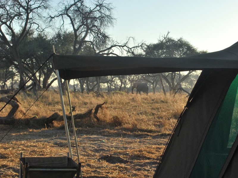 Khwai Tented Camp - Google Places photo