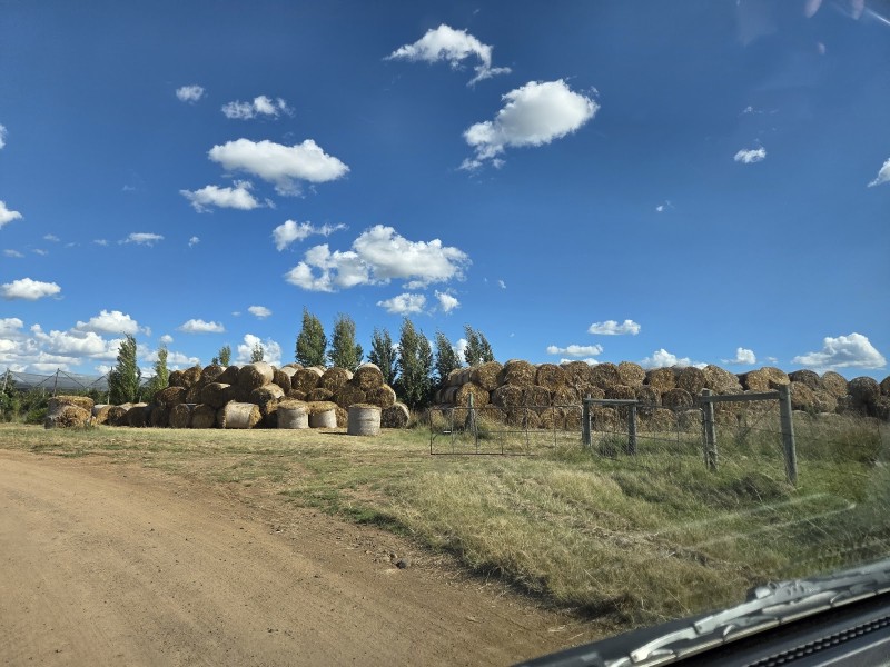 Merino Guest Farm - Google Places photo
