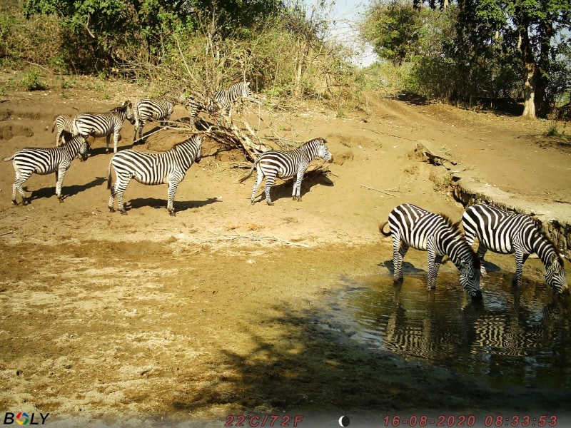 Mwembezi Gorge Bush Camp - Google Places photo