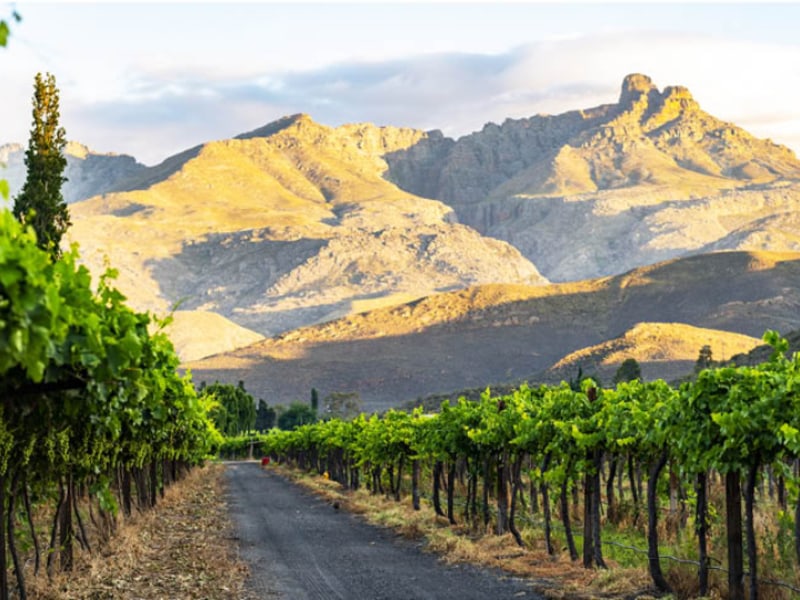 Mymering Wine & Guest Estate - Google Places photo