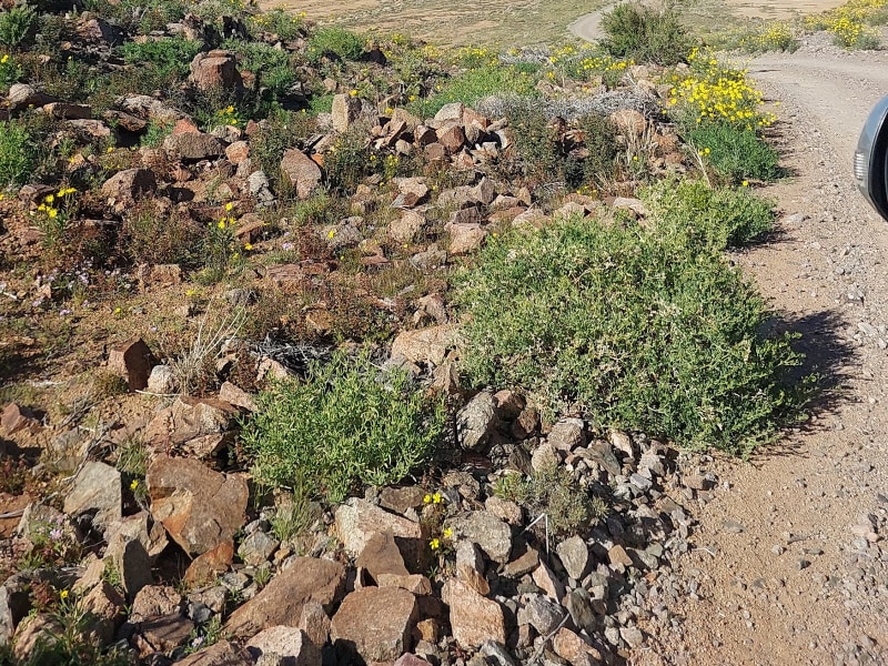 Kokerboomkloof Camp Site - Google Places photo