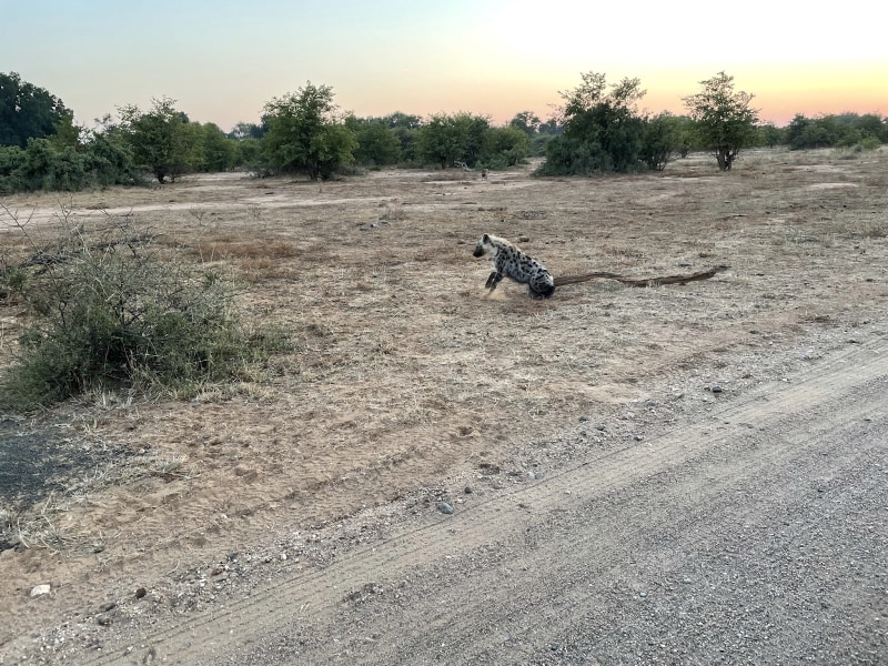 Bateleur Bushveld Camp - Google Places photo