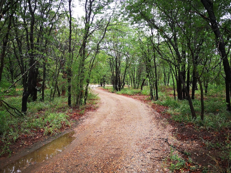 Bateleur Bushveld Camp - Google Places photo