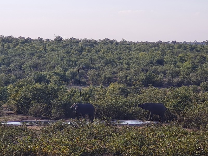 Boulders Bush Lodge - Google Places photo