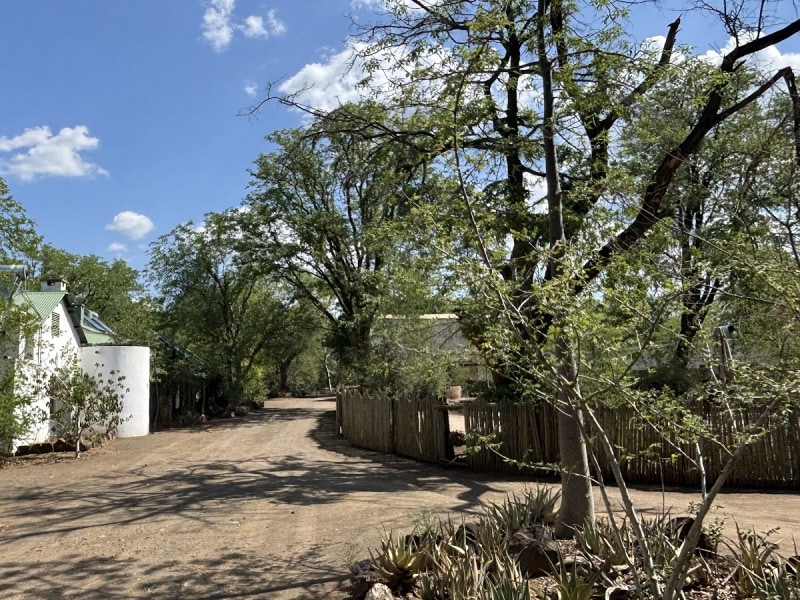 Pafuri Border Camp - Google Places photo