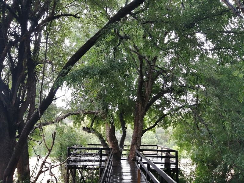Roodewal Bush Lodge - Google Places photo