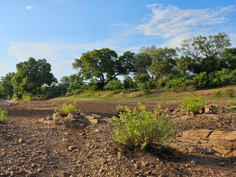 Shingwedzi Rest Camp - Google Places photo