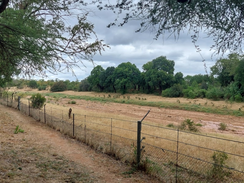 Sirheni Bushveld Camp - Google Places photo