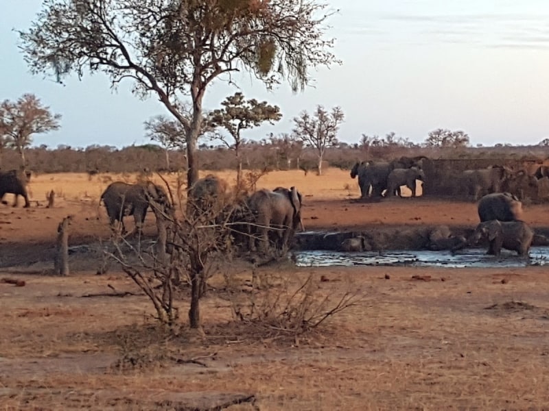 Talamati Bushveld Camp - Google Places photo