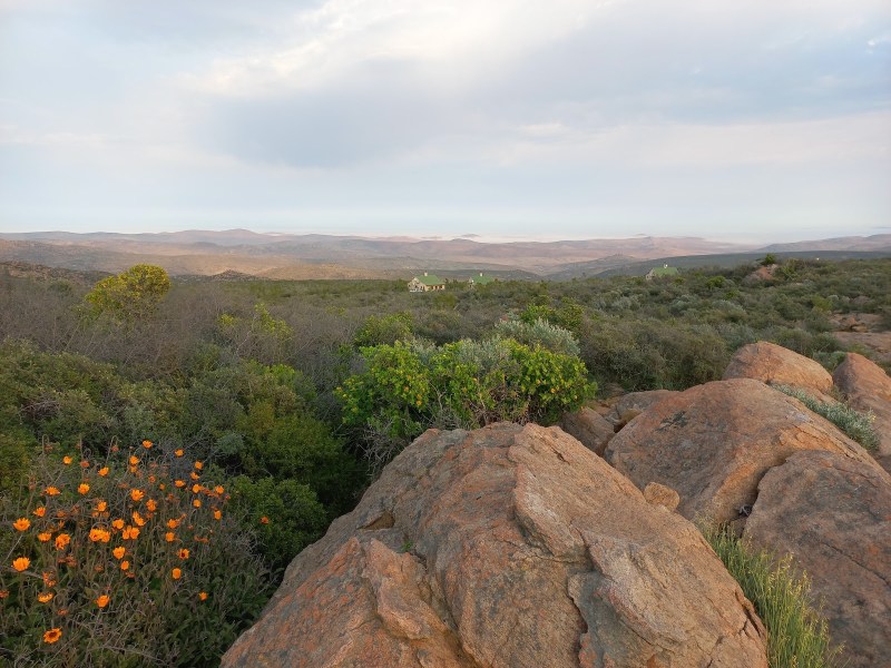 Skilpad Rest Camp - Google Places photo