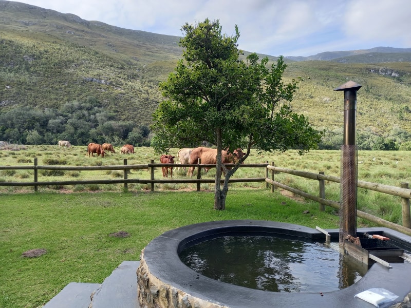 Somerset Gift Getaway Farm - Google Places photo