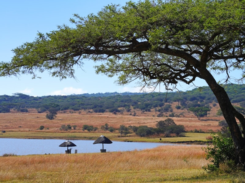 Spioenkop - Google Places photo