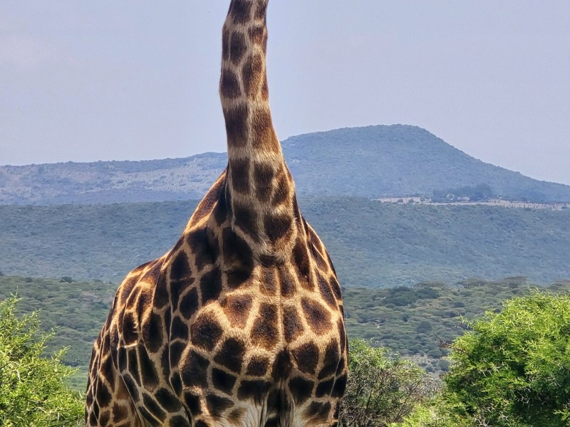 Spioenkop - Google Places photo