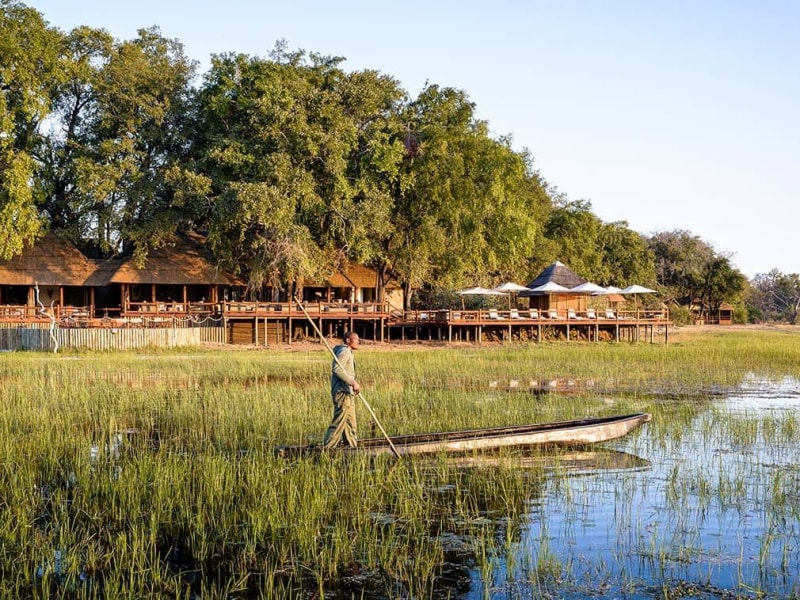 Sanctuary Chief's Camp