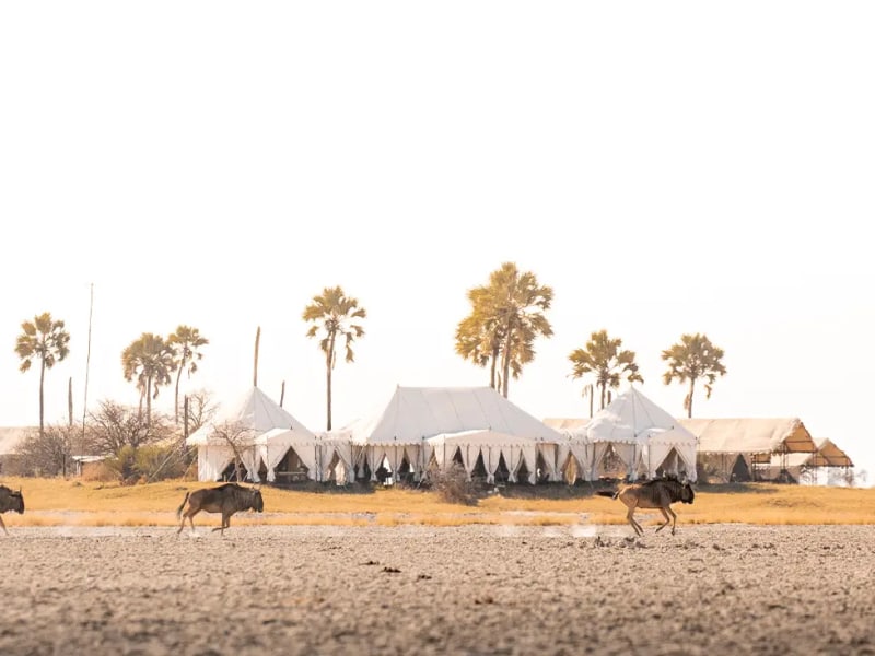 San Camp