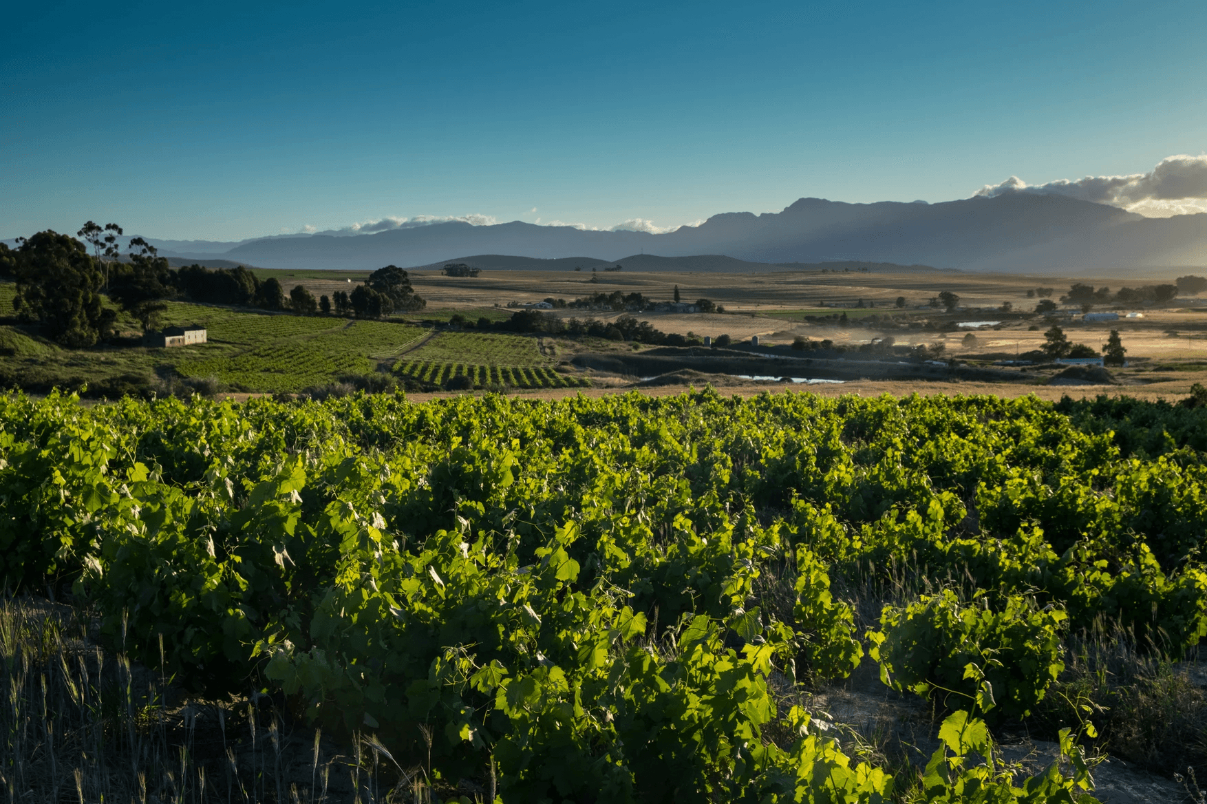 Swartland