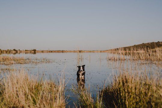 Riviersonderend