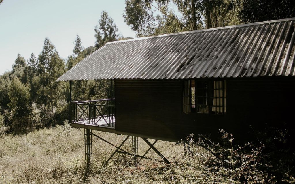 Forest Log Cabins