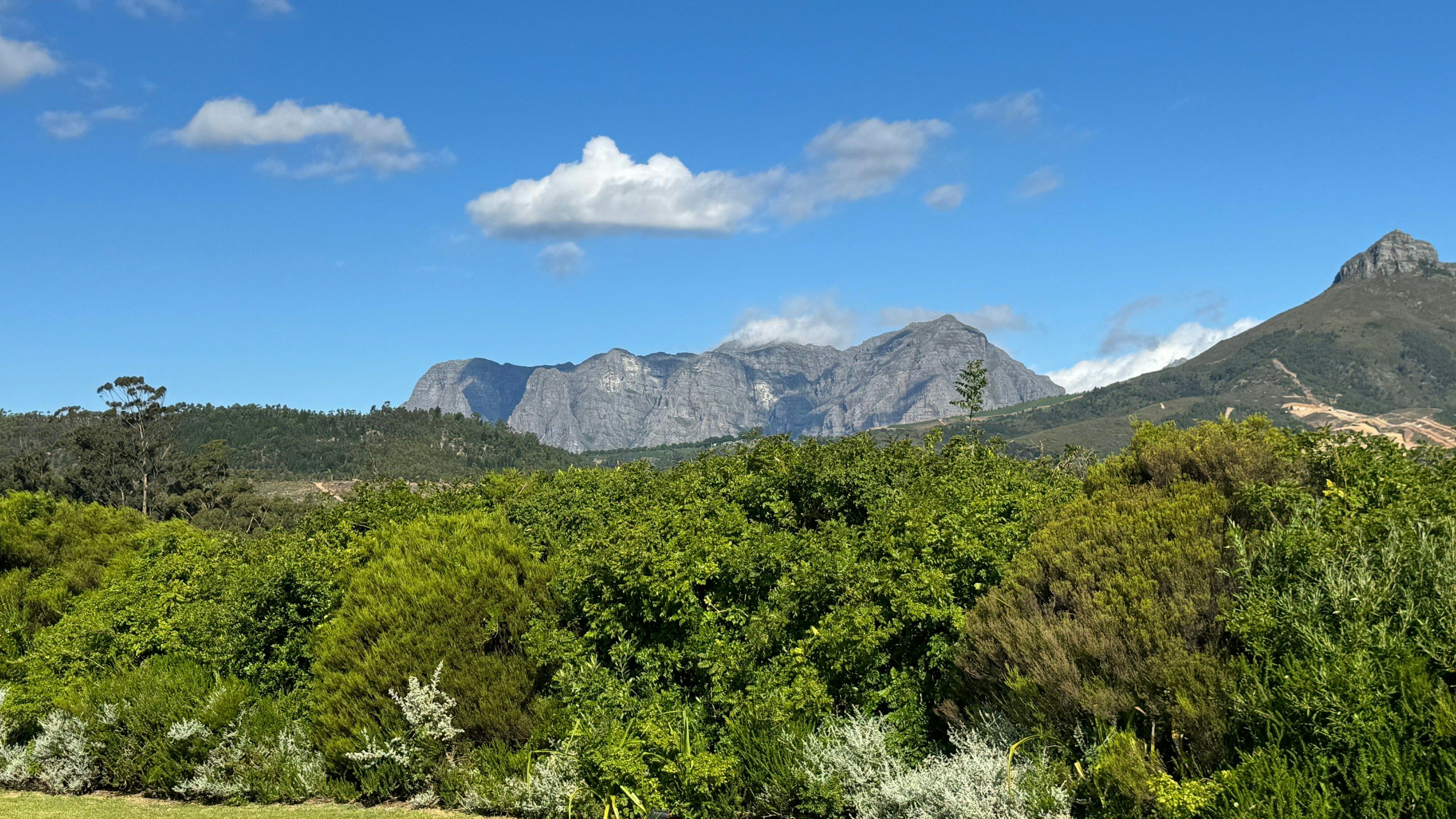Stellenbosch