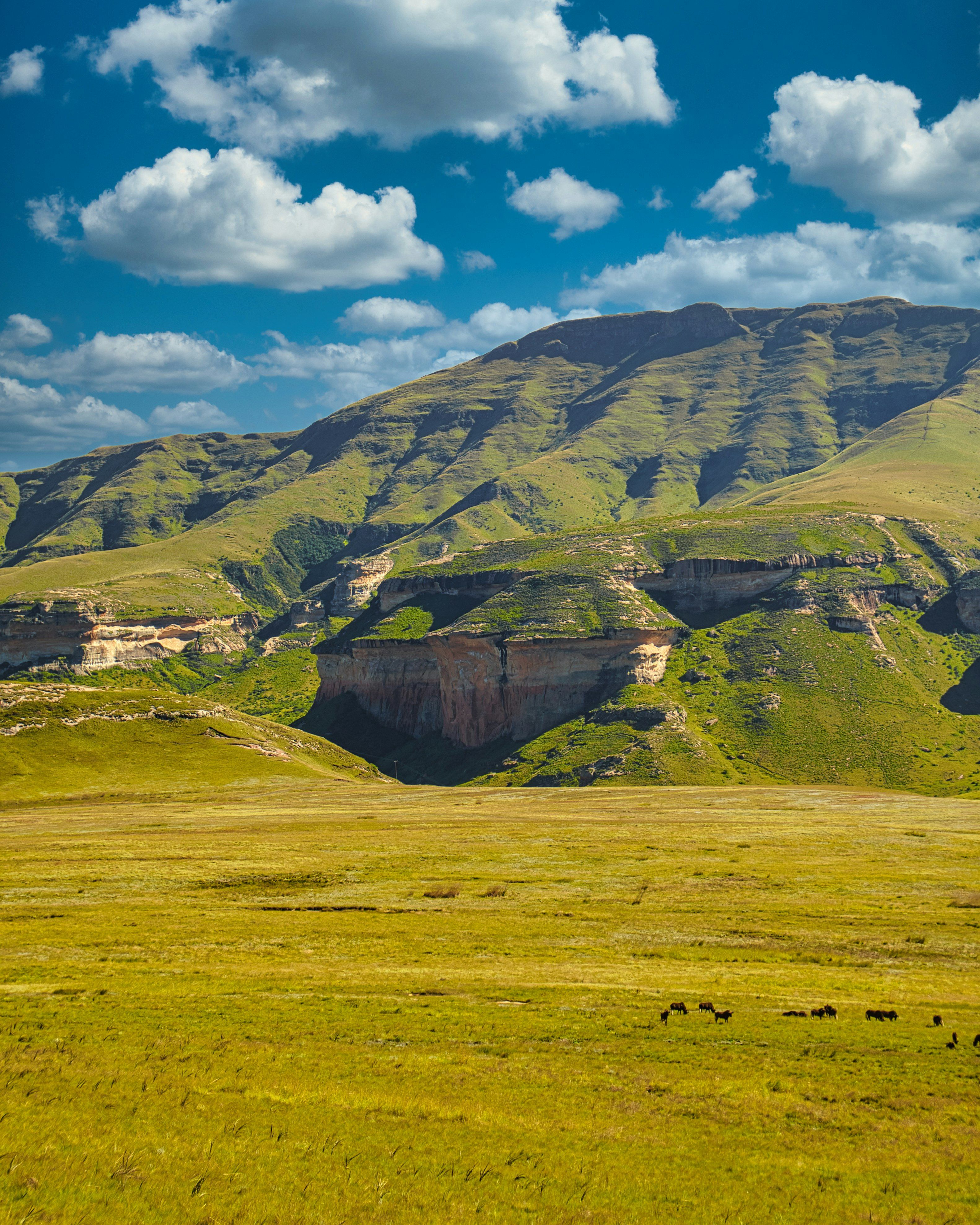 Clarens
