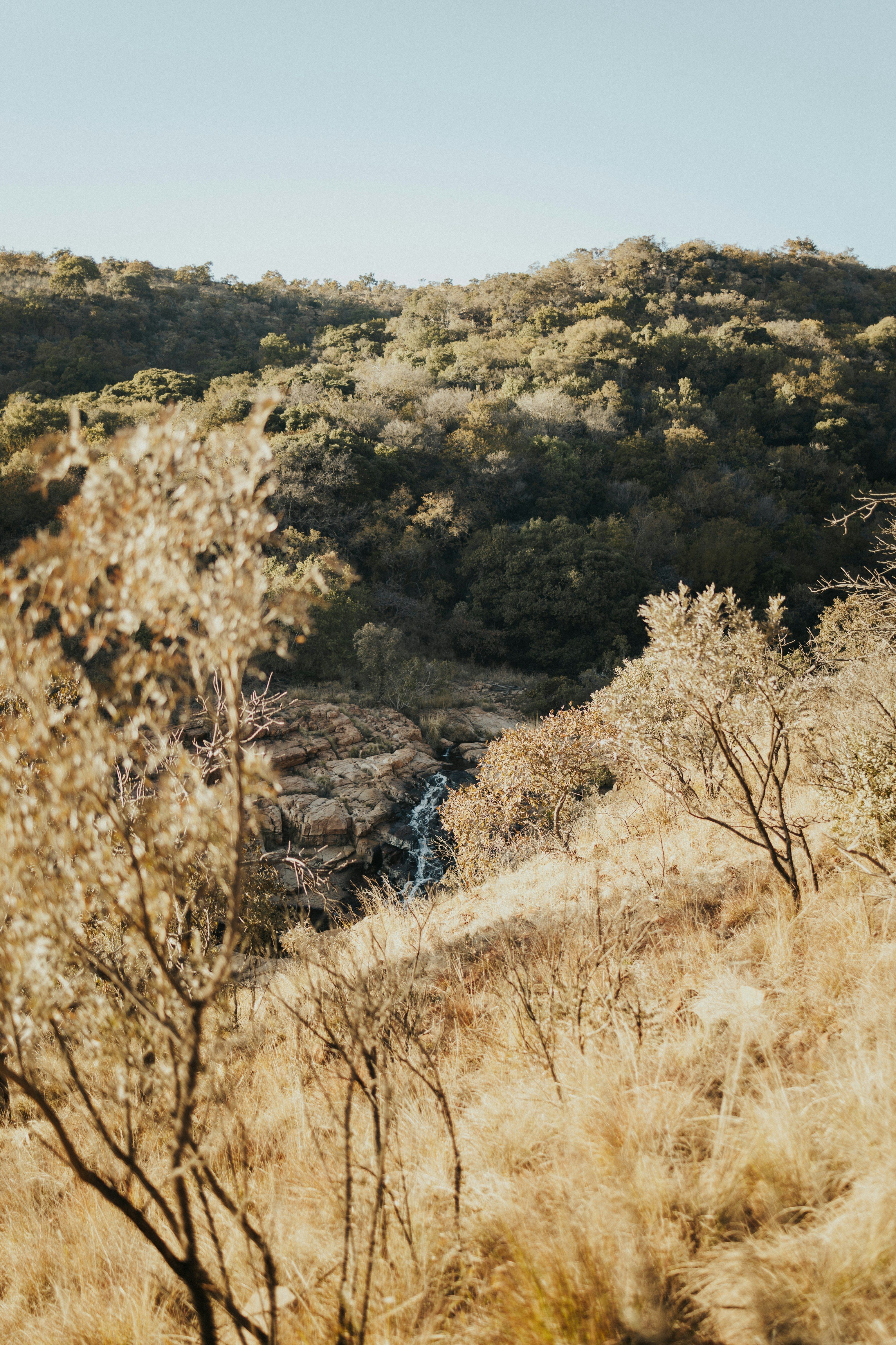Magaliesburg