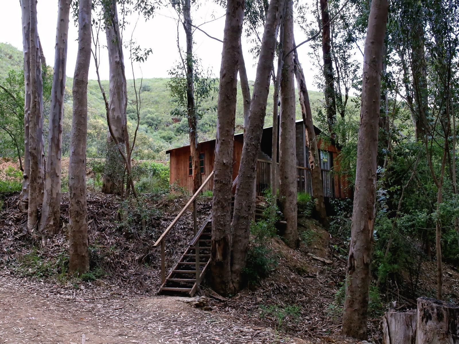 Boshuisie (Bush Cabin)