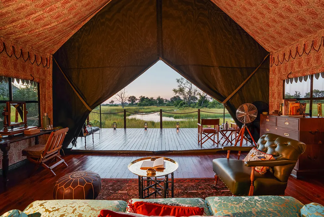 Canvas Safari Suite 8