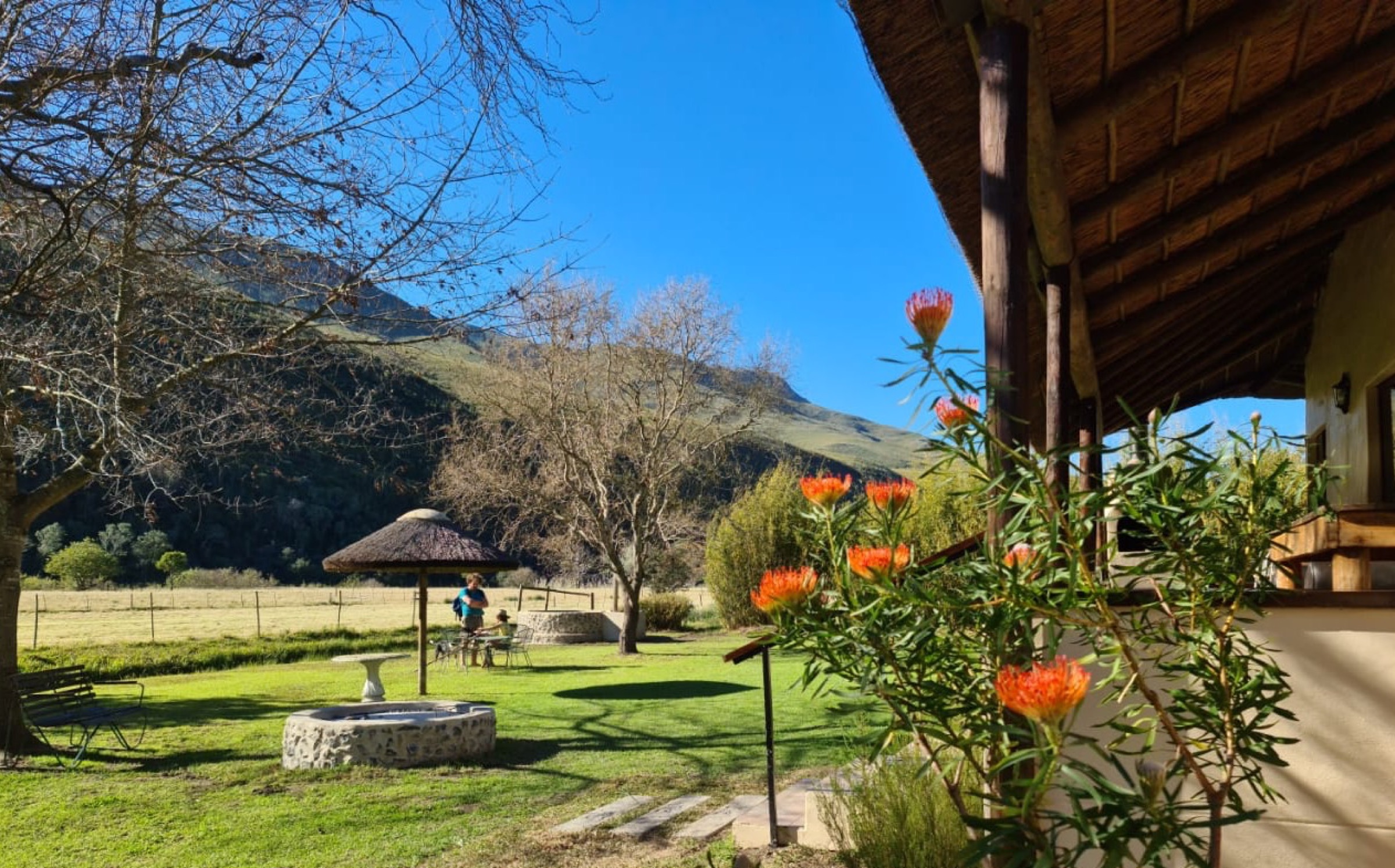 Willow Lodge