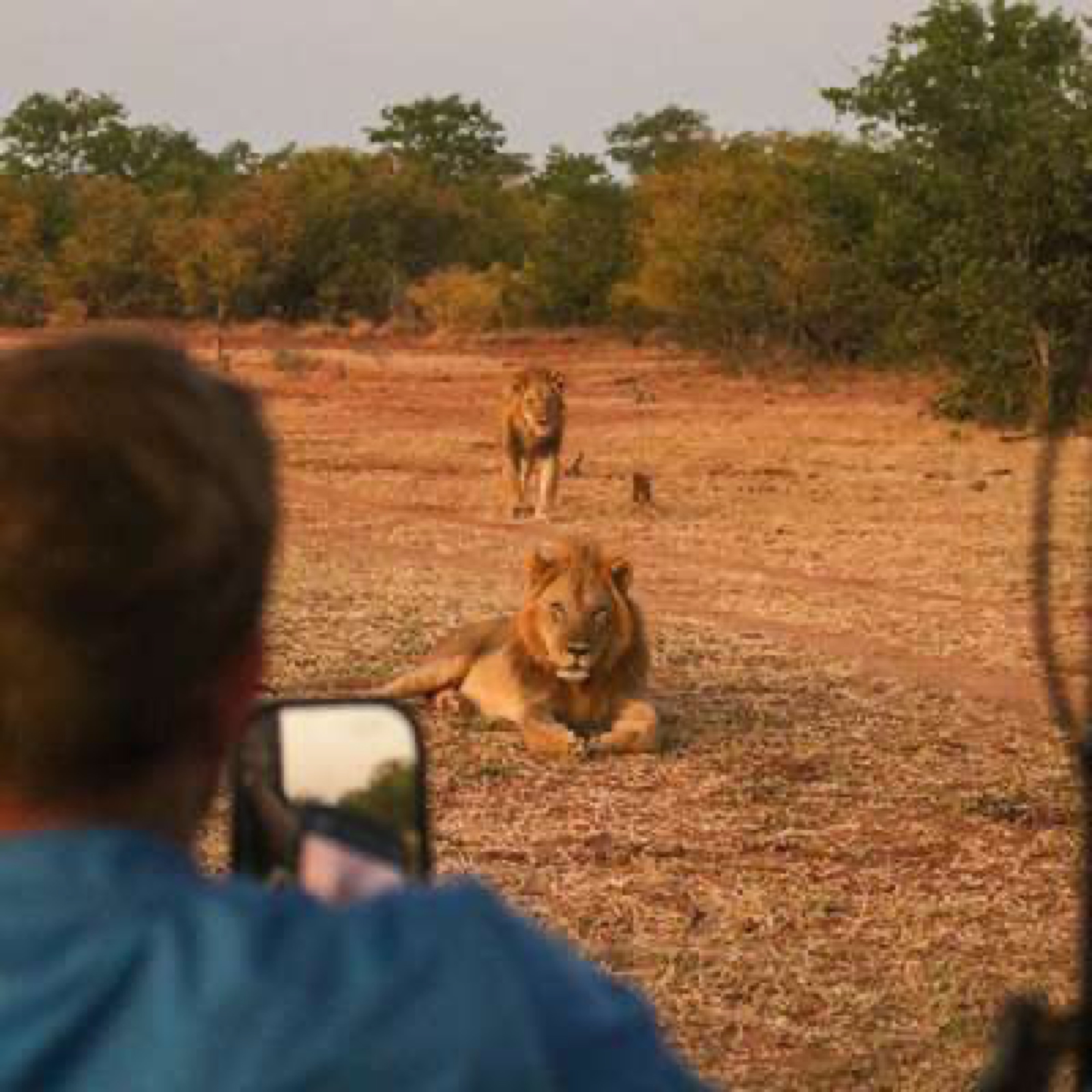 Luxury Safari Tent