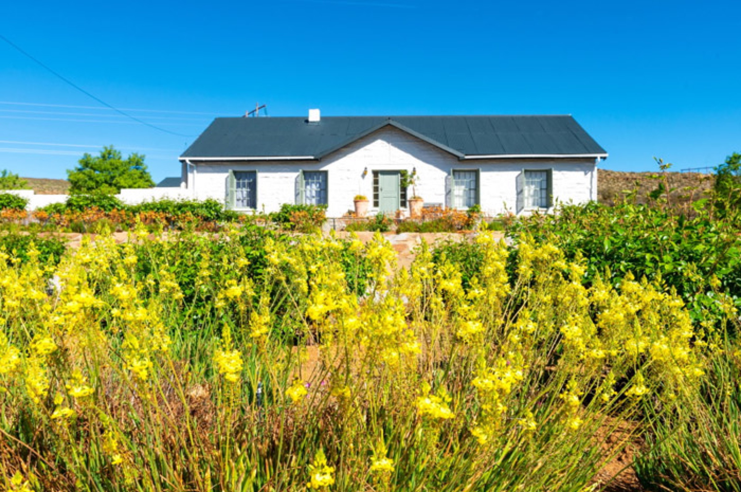 Huis Harpuis