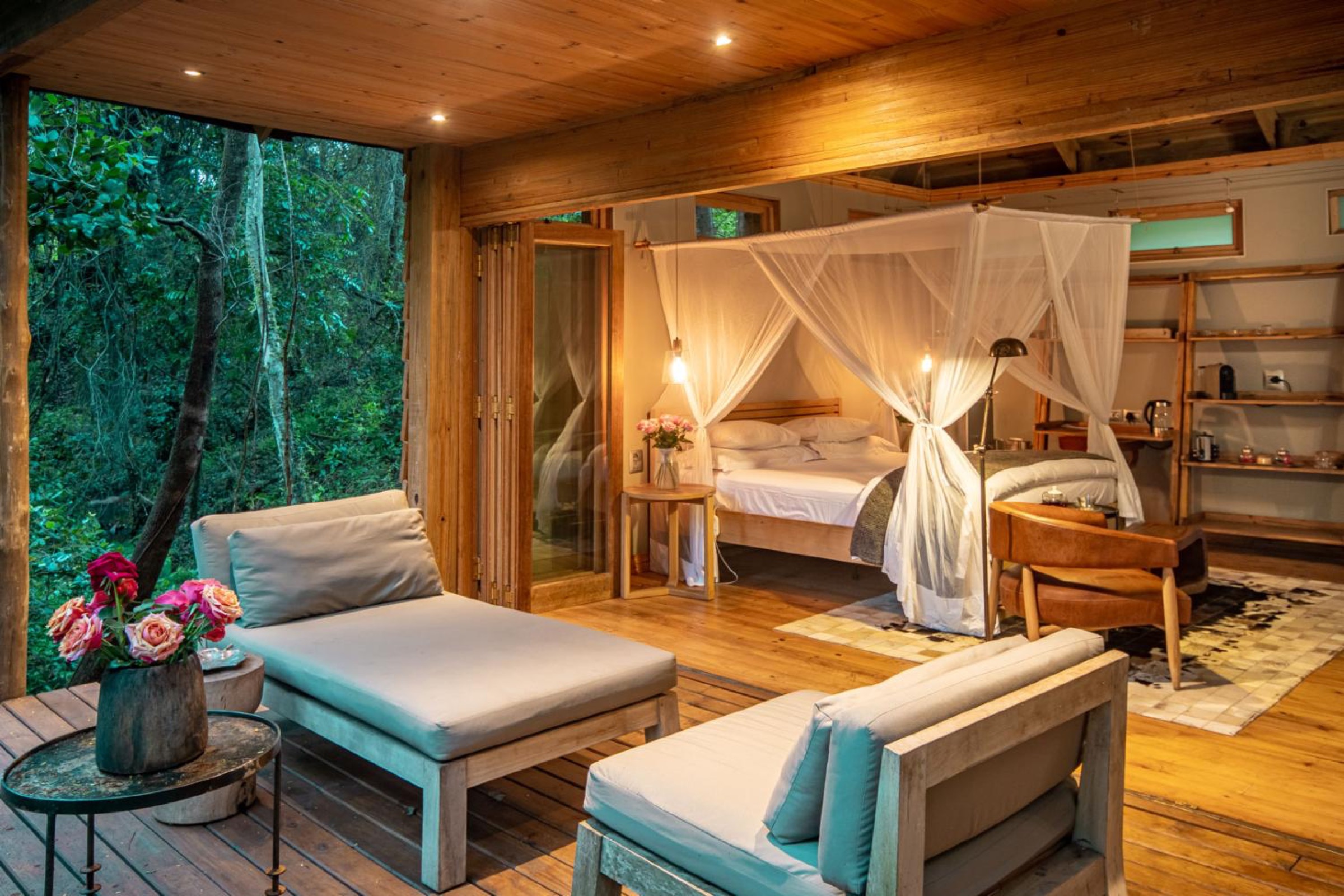Forest Suite