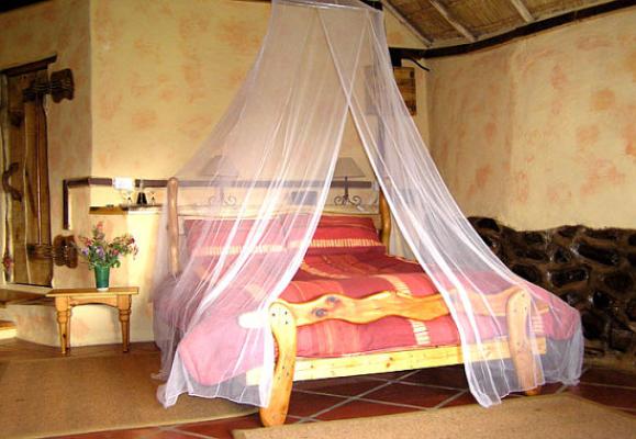 Garden View Suite